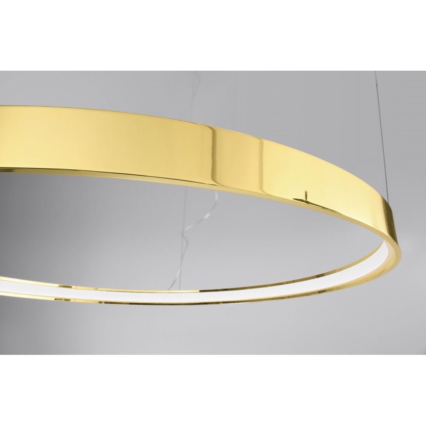 Thoro TH.246 - LED Żyrandol na lince RIO LED/50W/230V CRI 90 3000K śr. 78 cm złoty