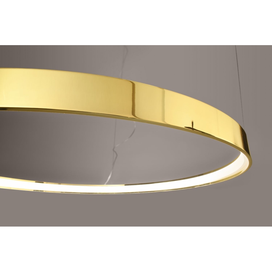 Thoro TH.246 - LED Żyrandol na lince RIO LED/50W/230V CRI 90 3000K śr. 78 cm złoty