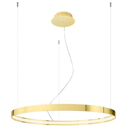 Thoro TH.246 - LED Żyrandol na lince RIO LED/50W/230V CRI 90 3000K śr. 78 cm złoty