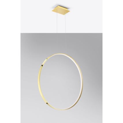 Thoro TH.248 - LED Żyrandol na lince RIO LED/50W/230V CRI 90 3000K śr. 78 cm złoty