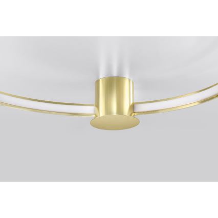 Thoro TH.252 - LED Plafon RIO LED/50W/230V CRI 90 3000K śr. 78 cm złoty