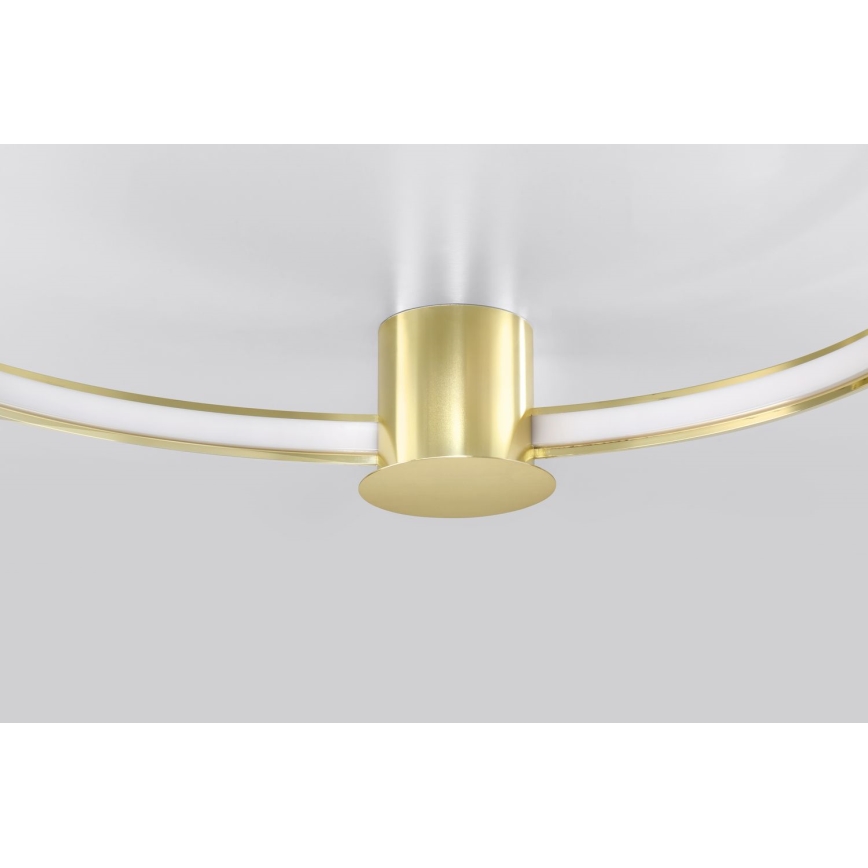 Thoro TH.252 - LED Plafon RIO LED/50W/230V CRI 90 3000K śr. 78 cm złoty