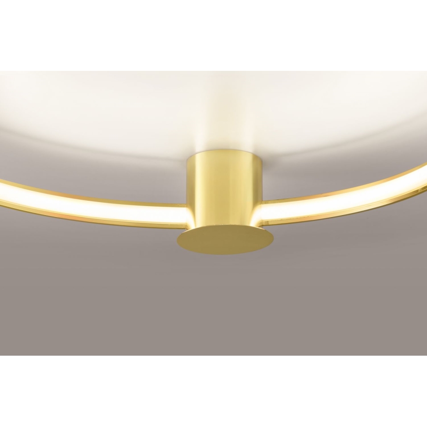 Thoro TH.252 - LED Plafon RIO LED/50W/230V CRI 90 3000K śr. 78 cm złoty