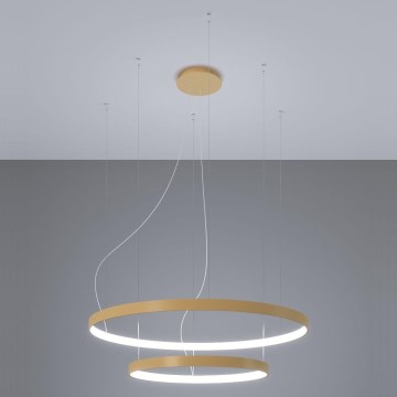 Thoro TH.268 - LED Żyrandol na lince RIO LED/80W/230V CRI 95 4000K złoty