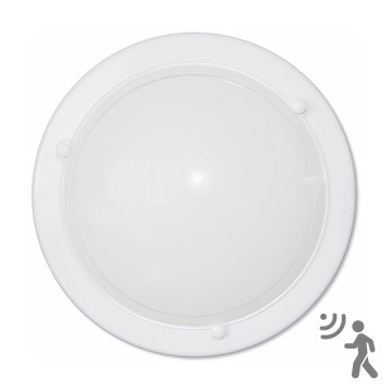 Top Light 5502/40/B/LED/MWS - LED Lampa sufitowa LED/20W/230V