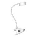 Top Light - LED Dotykowa Lampa Biurkowa z Klipem BELLA LED/4,8W/5V 3000-6500K Biała