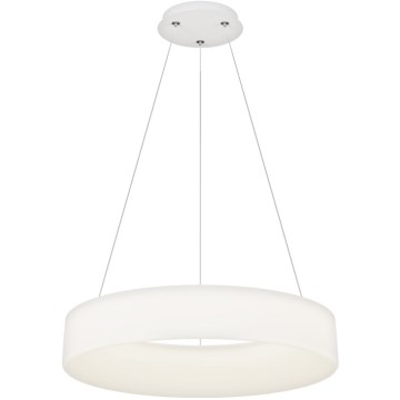 Top Light - LED Lampa Wisząca Z Dimmowaniem HALO LED/60W/230V 3000-6500K średnica 60 cm + pilot