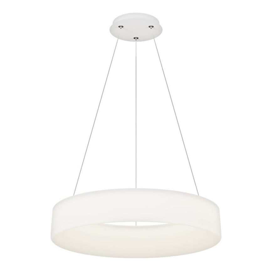 Top Light - LED Lampa Wisząca Z Dimmowaniem HALO LED/60W/230V 3000-6500K średnica 60 cm + pilot