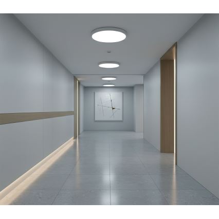 Top Light - Lampa sufitowa LED z czujnikiem ruchu REVIT LED/9/12/18W/230V 3000/4000/6500K śr. 23 cm biała