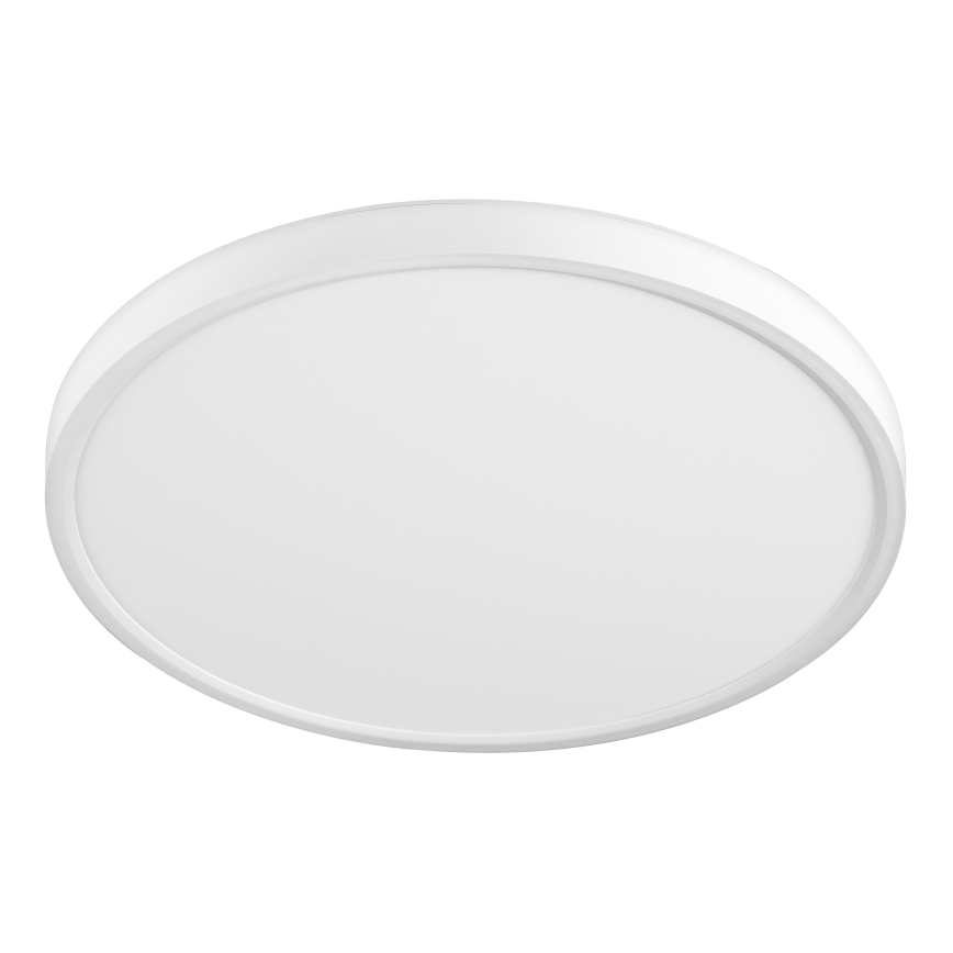 Top Light - LED Plafon REVIT LED/24W/230V 3000/4000/6500K śr. 30 cm biały