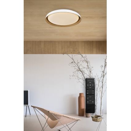 Top Light - LED Plafon ściemnialny SATELLITE LED/36W/230V 3000-6500K śr. 43 cm biały/brązowy + pilot zdalnego sterowania