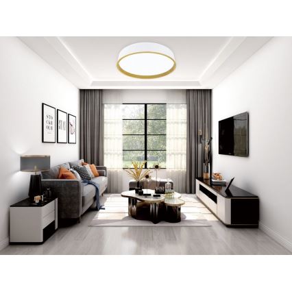 Top Light - LED regulowane oświetlenie sufitowe DEKOR LED/51W/230V śr. 50 cm 3000-6500K + pilot do zdalnego sterowania