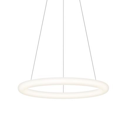 Top Light - Ściemnialny żyrandol LED na lince RINGO LED/40W/230V 3000-6500K biały + pilot zdalnego sterowania