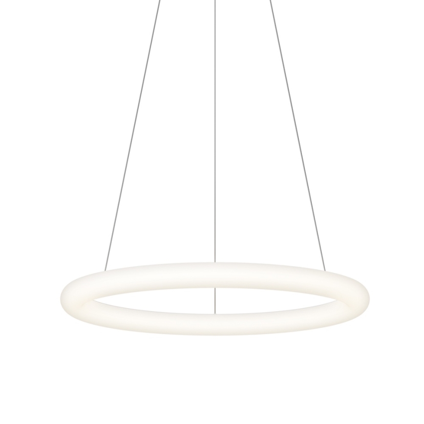 Top Light - Ściemnialny żyrandol LED na lince RINGO LED/40W/230V 3000-6500K biały + pilot zdalnego sterowania