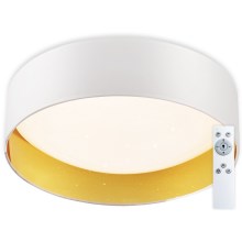 Top Light - LED Ściemniany plafon LED/24W/230V + pilot biały