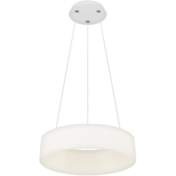 Top Light - LED Zmieniający intensywność lampa wisząca HALO LED/40W/230V 3000-6500K średnica 44 cm + zdalne sterowanie