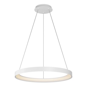 Top Light - LED Żyrandol ściemnialny na lince ORBIT LED/40W/230V 3000-6500K śr. 50 cm biały + pilot zdalnego sterowania