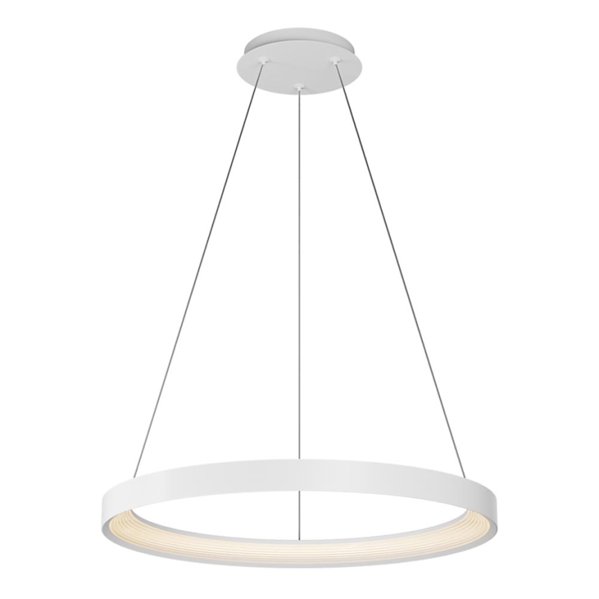 Top Light - LED Żyrandol ściemnialny na lince ORBIT LED/40W/230V 3000-6500K śr. 50 cm biały + pilot zdalnego sterowania