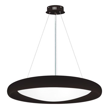 Top Light - LED Żyrandol ściemnialny na lince SALERNO LED/60W/230V 3000-6500K śr. 60 cm czarny + zdalne sterowanie