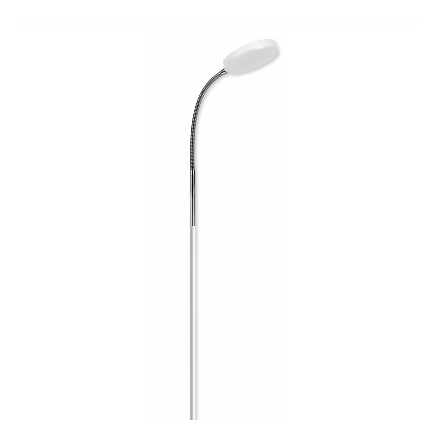 Top Light Lucy P B - Lampa podłogowa LUCY LED/5W/230V