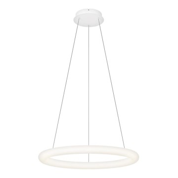 Top Light - Ściemnialny żyrandol LED na lince RINGO LED/40W/230V 3000-6500K biały + pilot zdalnego sterowania