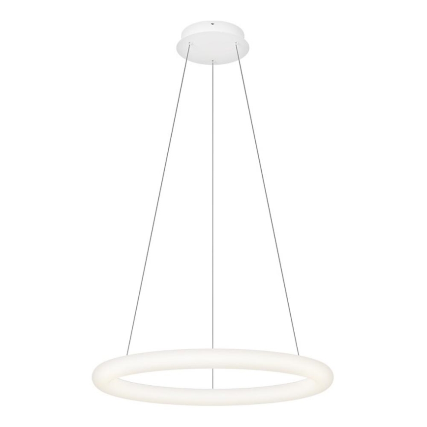 Top Light - Ściemnialny żyrandol LED na lince RINGO LED/40W/230V 3000-6500K biały + pilot zdalnego sterowania