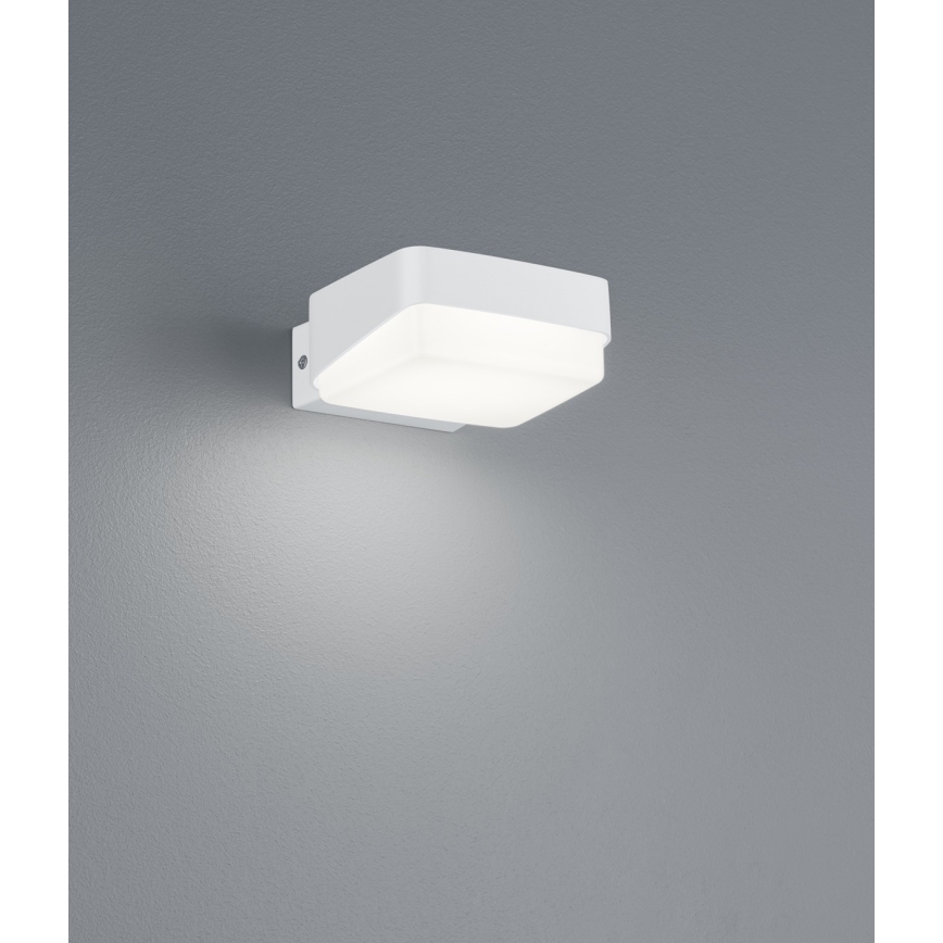Trio - LED Kinkiet zewnętrzny JUBA LED/10W/230V IP65