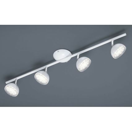 Trio - LED Oświetlenie punktowe BOLOU 4xLED/3,8W/230V