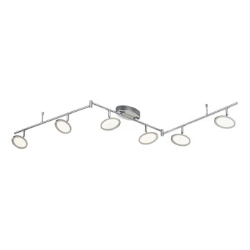 TRIO - LED Oświetlenie punktowe DUELLANT 6xLED/4,3W/230V 3000K