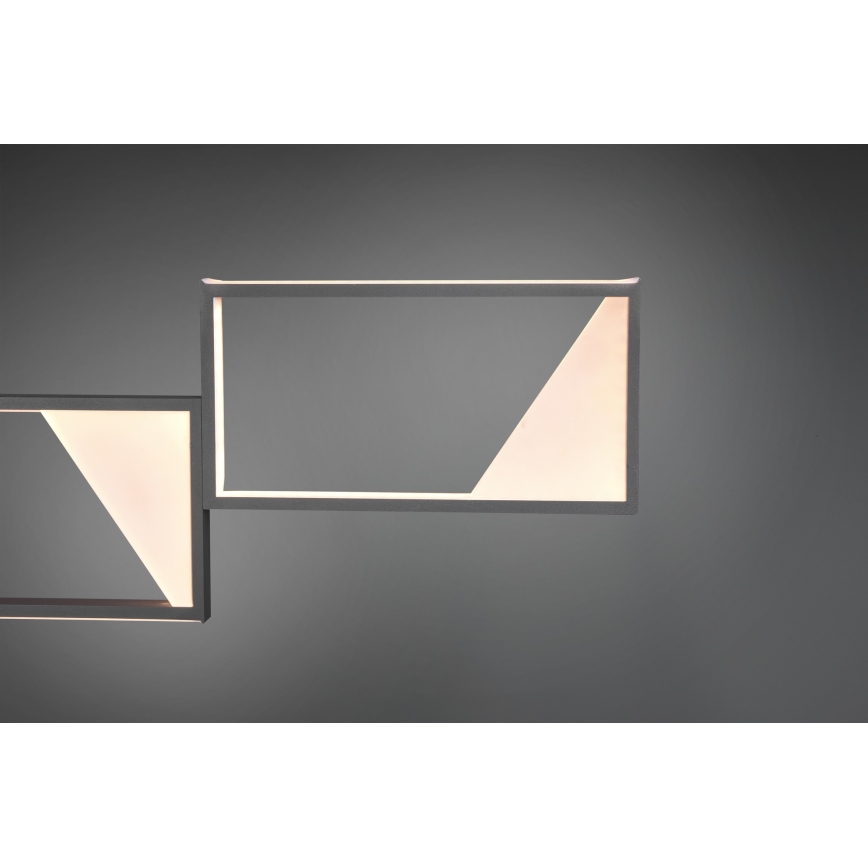 Trio - LED Ściemnialny żyrandol na lince CAFU 4xLED/7W/230V