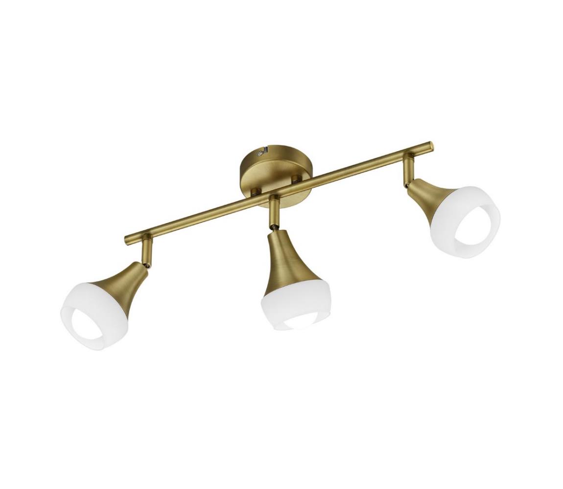 TRIO - Oświetlenie punktowe TRUMPET 3xE14/40W/230V