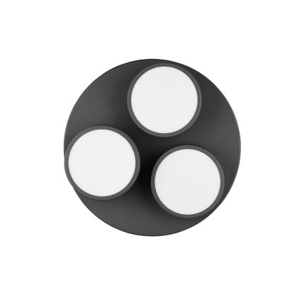 Trio - ściemnialna lampa sufitowa LED FRANKLIN 3xLED/8,5W/230V 3000K Ø 35 cm czarna