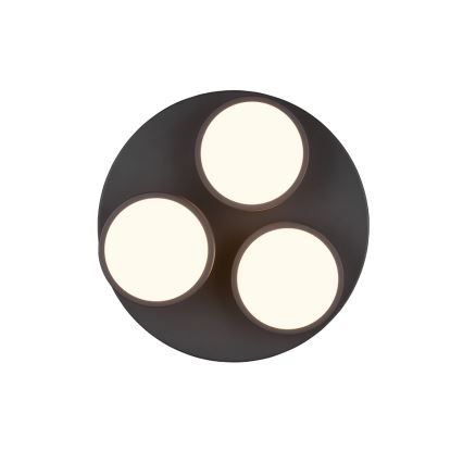Trio - ściemnialna lampa sufitowa LED FRANKLIN 3xLED/8,5W/230V 3000K Ø 35 cm czarna