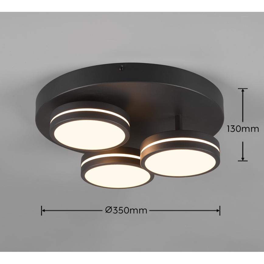 Trio - ściemnialna lampa sufitowa LED FRANKLIN 3xLED/8,5W/230V 3000K Ø 35 cm czarna