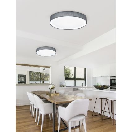 Trio - ściemnialna lampa sufitowa LUGANO LED/22W/230V 3000K śr. 40 cm szara