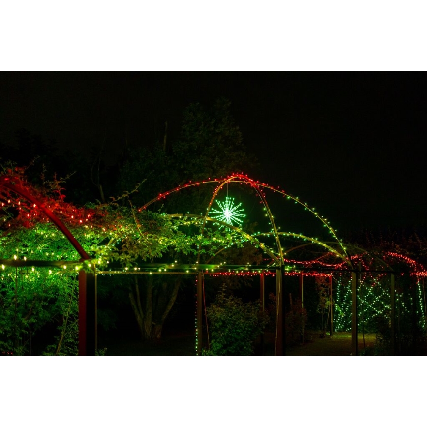 Twinkly - LED RGB Ściemnialna zewnętrzna poinsecja SPRITZER 200xLED IP44 Wi-Fi