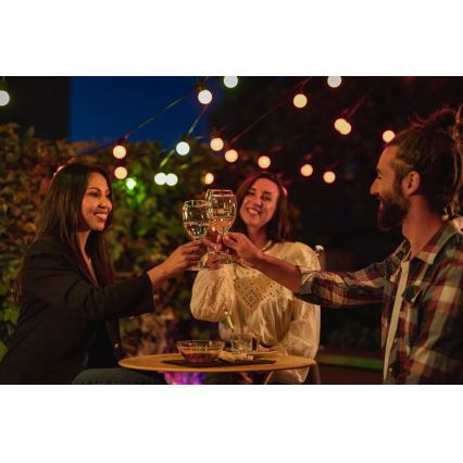 Twinkly - LED RGB Ściemnialny zewnętrzny łańcuch ozdobny FESTOON 20xLED 14m IP44 Wi-Fi