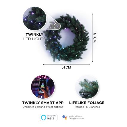 Twinkly - LED RGB Ściemnialny wieniec bożonarodzeniowy PRE-LIT WREATH 50xLED śr. 61cm Wi-Fi