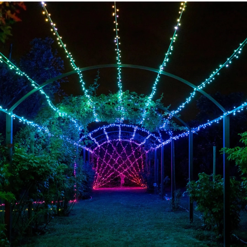 Twinkly - LED RGBW Ściemnialny zewnętrzny łańcuch bożonarodzeniowy STRINGS 250xLED 23,5m IP44 Wi-Fi