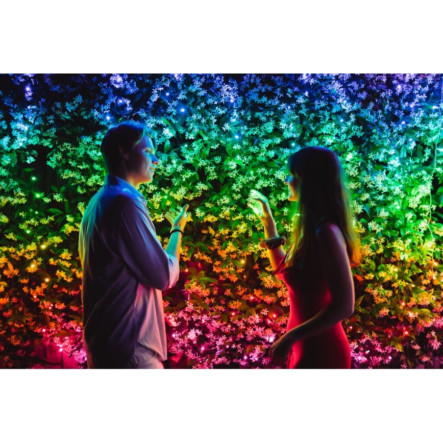 Twinkly - LED RGB Ściemnialny zewnętrzny łańcuch bożonarodzeniowy STRINGS 250xLED 23,5m IP44 Wi-Fi