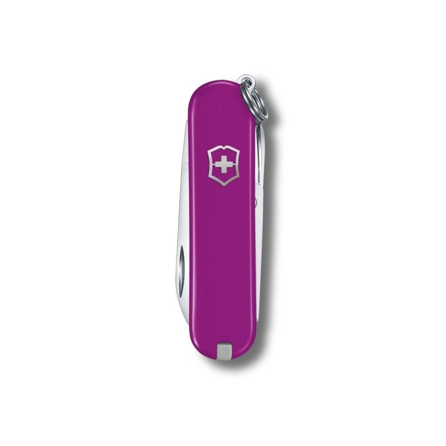 Victorinox - Wielofunkcyjny scyzoryk CLASSIC SD 5,8 cm/7 funkcji fioletowy