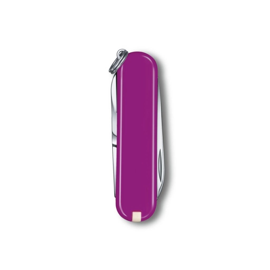 Victorinox - Wielofunkcyjny scyzoryk CLASSIC SD 5,8 cm/7 funkcji fioletowy
