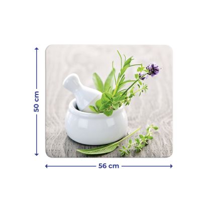 WENKO 2712940500 - Pokrywa ABDECKPLATTE - DO ŻYWNOŚCI 56x50 cm kolorowa/przezroczysta