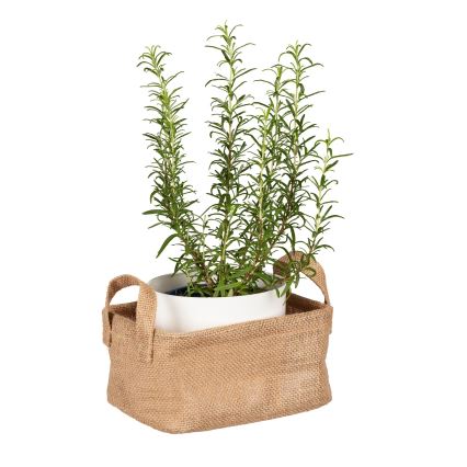 WENKO 64470100 - Kosz JUNA 20x15 cm brązowy