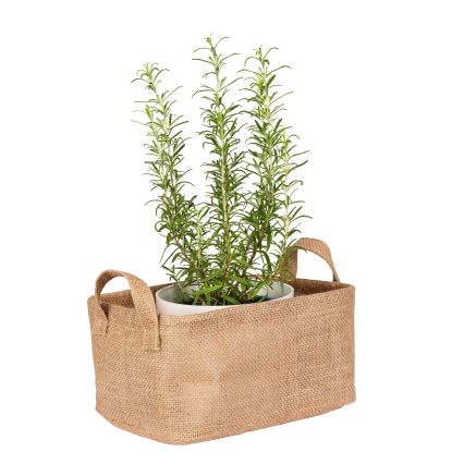 WENKO 64471100 - Kosz JUNA 24x17 cm brązowy