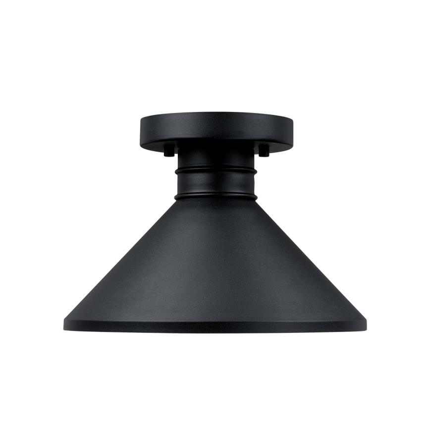 Westinghouse 61238 - Plafon zewnętrzny WALTER 1xE27/60W/230V IP44