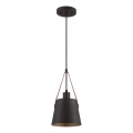 Westinghouse 6125340 - Lampa wisząca na lince PASCO 1xE27/60W/230V średnica 18 cm