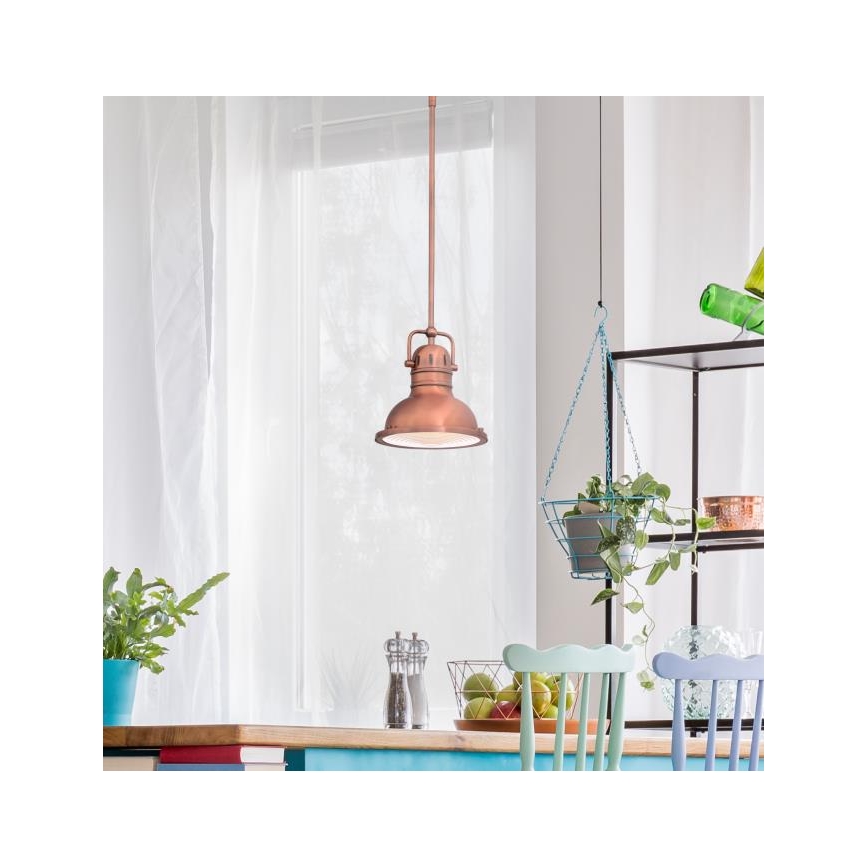 Westinghouse 6308440 - Lampa wisząca na pręcie BOSWELL 1xE27/60W/230V śr. 22 cm