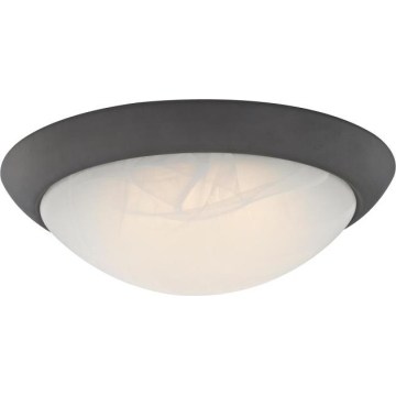 Westinghouse 6308940 - LED ściemnialna lampa sufitowa LED/15W/230V