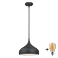Westinghouse 6329440 - LED żyrandol na pręcie RUDI 1xE27/60W/230V śr. 30 cm